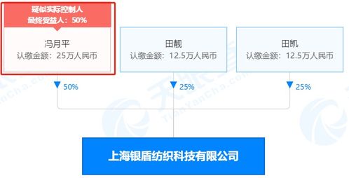 冯赵离婚背后，信息系统集成服务的神秘现身